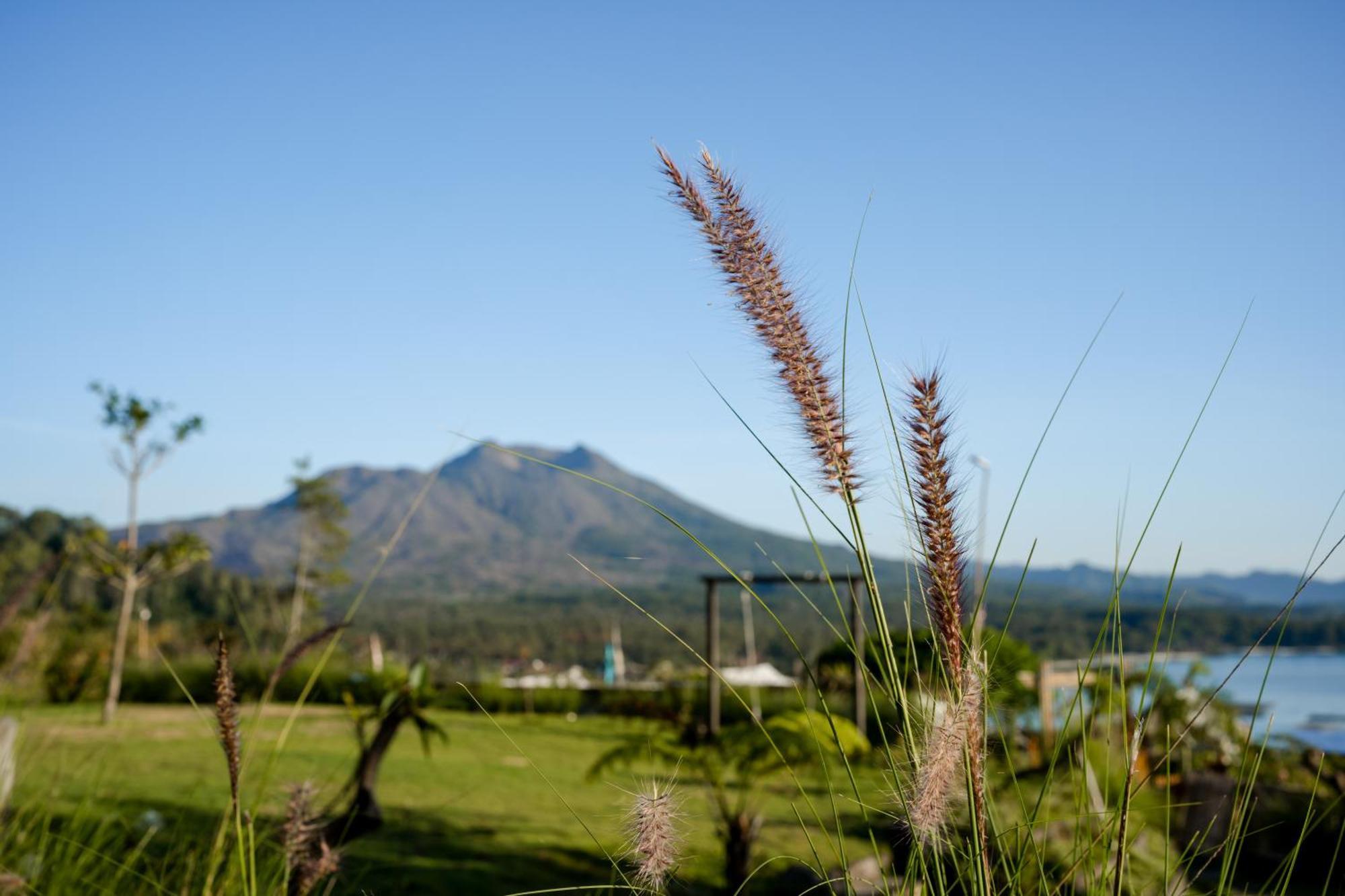 Samuh Camp Kintamani Hotel ภายนอก รูปภาพ